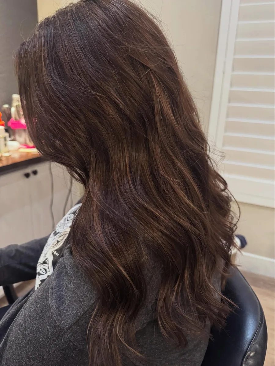Dimensional highlights and blowout finish — Hair by Shae, Anthem AZ